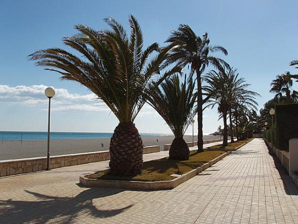 VISITA LA COSTA DAURADA - NO TE LO DEJES PERDER 7