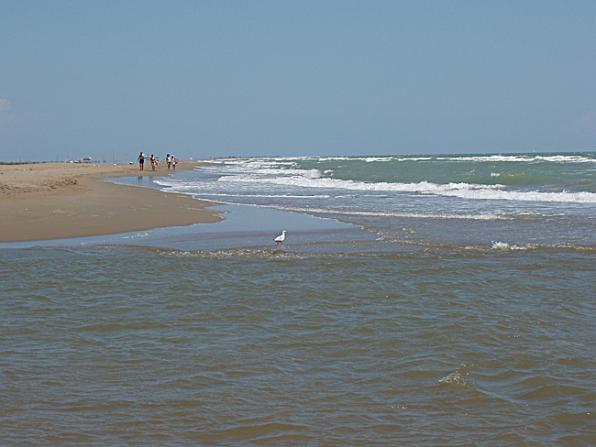 VISITA LA COSTA DAURADA - NO T'HO DEIXIS PERDRE 3