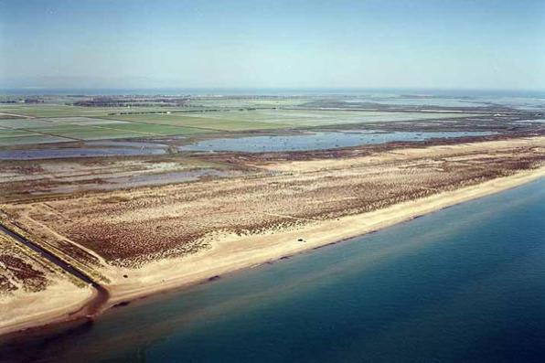 Del Serrallo beach - Sant Jaume d'Enveja