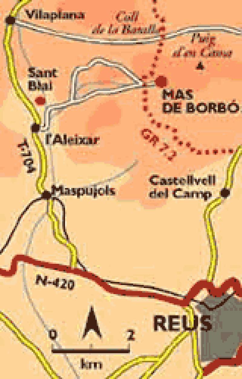 The alzina del Mas de Borb&oacute;. The oldest.