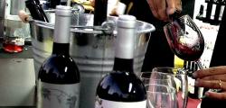 Els millors vins de la Costa Daurada per 12 euros a la Reus Viu el Vi