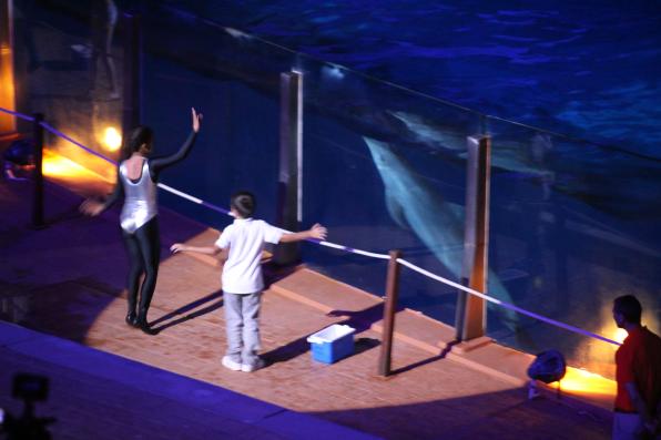 A child participates in the Aquatic night show.