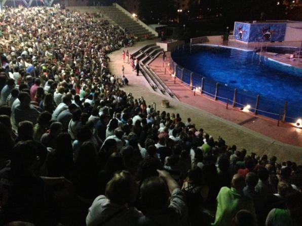 The public filled the stands of the Aquatic Dolphinarium.