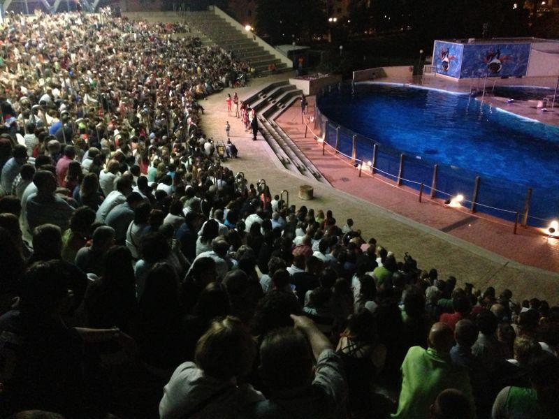 El p&uacute;blico lleno las gradas del Delfinario del Aquopolis.