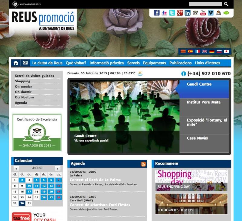 Website, Reus Promoci&oacute; 2013.