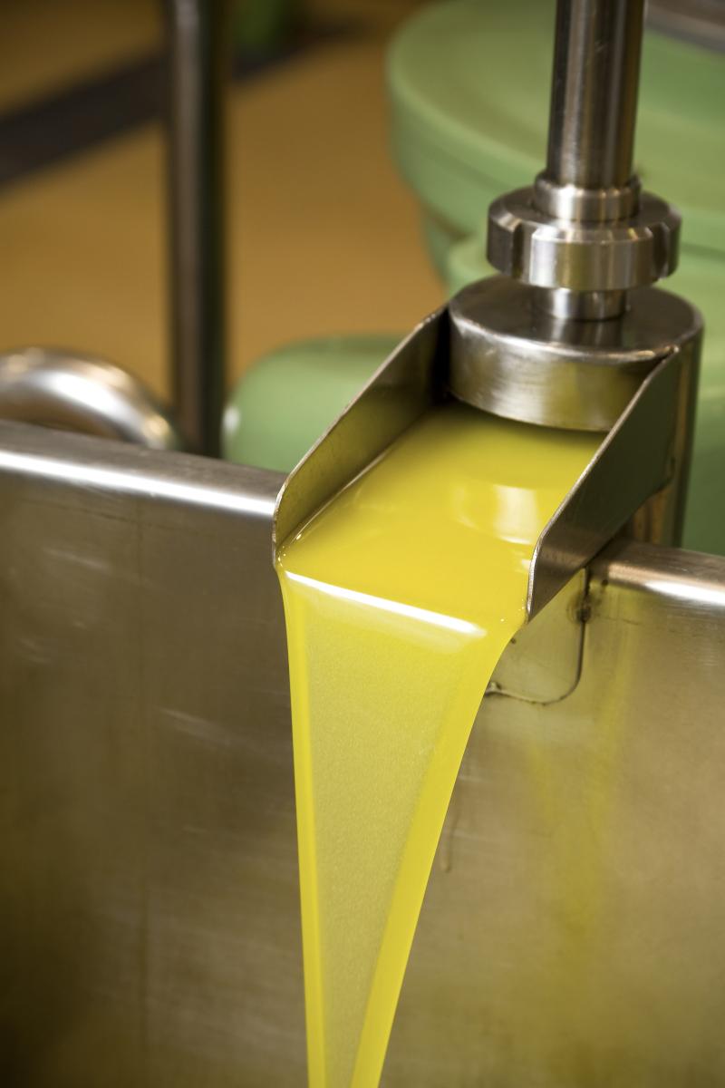 La cooperativa prev&eacute; m&aacute;s de 700.000 litros de aceite de oliva virgen