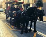 Las tartanas circulan por las calles de Reus