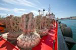 The beaches of the Costa Dorada will have 86 ecological buoys