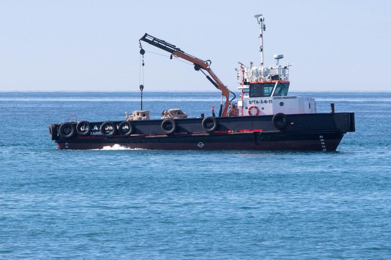 Col&middot;locaci&oacute; dels bi&ograve;tops a les platges de la Costa Daurada