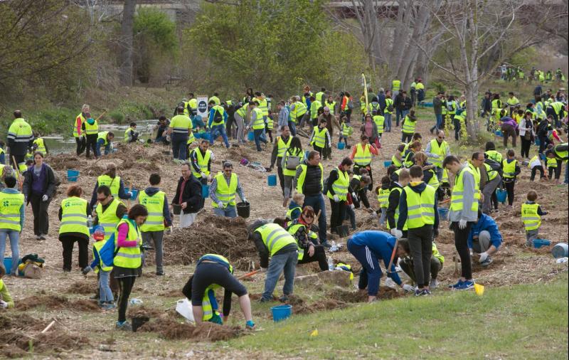 Els 800 participants van plantar 1.400 arbustos de sis esp&egrave;cies.