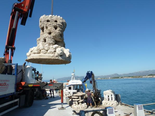 Imagen de los biotopos marinos colocados en la playa Ponent de Salou