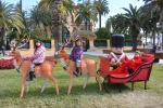 Giant Christmas figures decorate the streets and squares of Salou