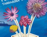 Muestra de fuegos artificiales de Tarragona en julio