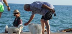 Vacaciones con mascotas: Salou destino Pet-Friendly