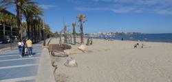 Space for dogs and pets on Ponent beach in Salou