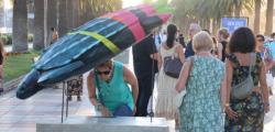 What to do today Visit the outdoor leatherback turtle exhibition