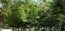 Refugios clim&aacute;ticos en Salou