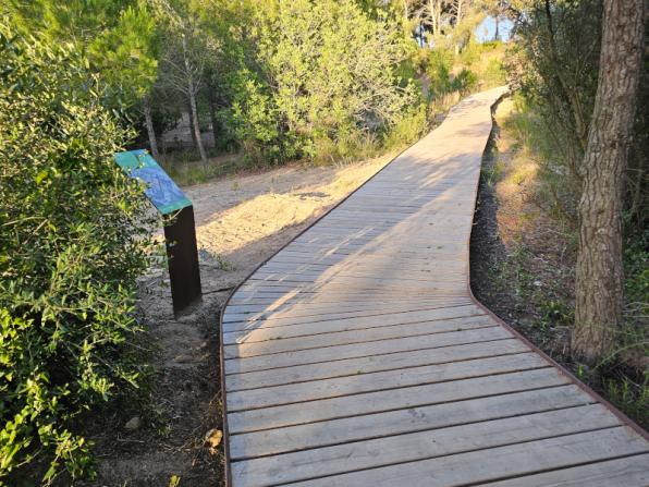 Ruta del Pla del Maset y Bosque de la Duna Grande