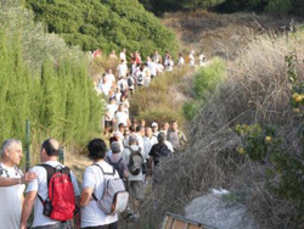 El próximo domingo 13 de febrero &lt;/br&gt;Tarragona celebra la Caminata Popular de Invierno