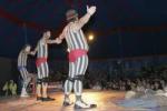 Clowns'racings and Magic Shows at the Pallassòdrom in Vila-seca