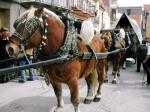 Comencen les Festes de Sant Antoni a Cambrils