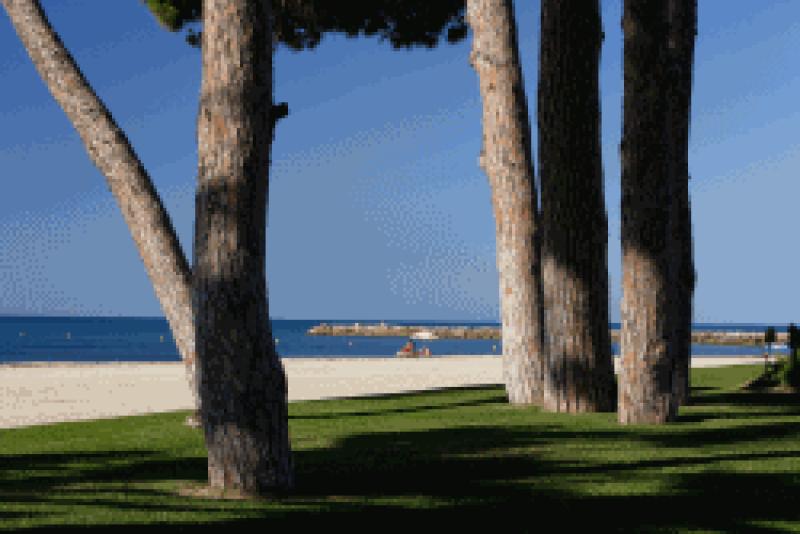 Las playas de Vilafortuny-L'Esquirol, Cavet y Prat d'en For&eacute;s de Cambrils, reciben la Bandera azul