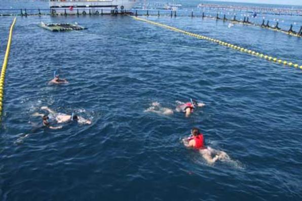 Bañarse entre atunes, una experiencia única con Tuna-Tour en aguas de l'Ametlla de Mar 2