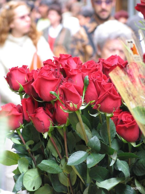 Un Sant Jordi ple d'activitats lúdiques i cultruals a  Reus y Tarragona 1