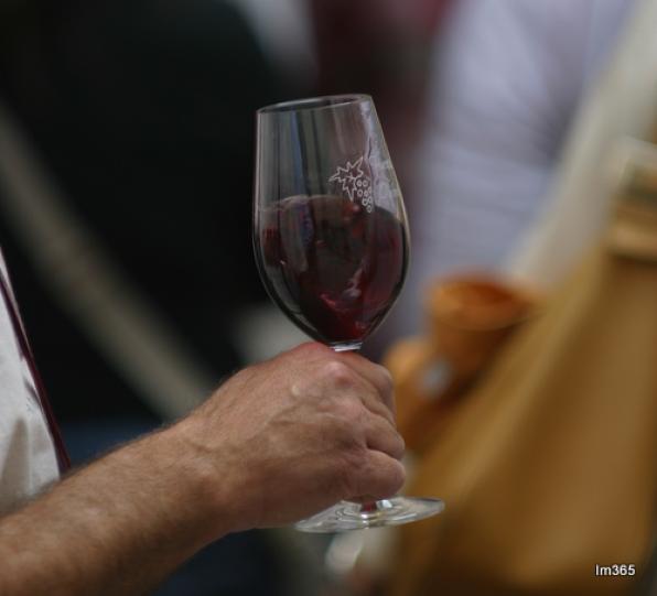 Torroja, en el Priorat, celebrará el sábado la 2 ª Noche de Vinos