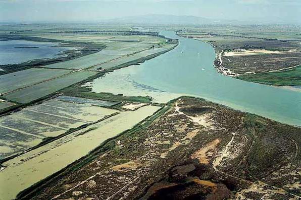 Benvinguts al Parc Natural del Delta de l'Ebre 4