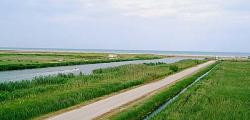 Bienvenidos al Parque Natural del Delta del Ebro